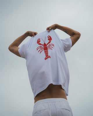 Ropa