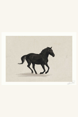 A Horse With No Name